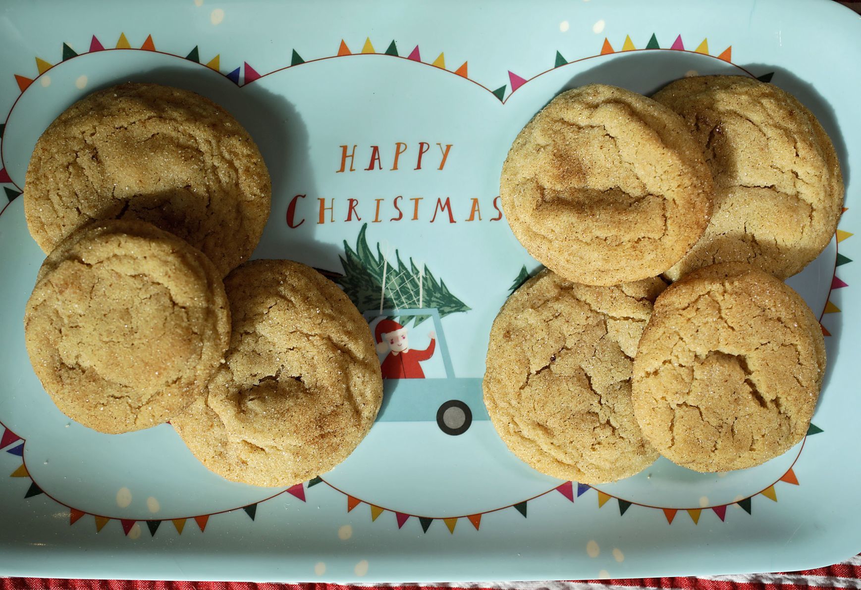 12 Days of Cookies Day 1: Noggerdoodles submitted by Eliot Glaser